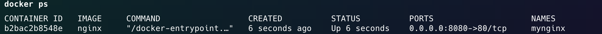 Docker ps