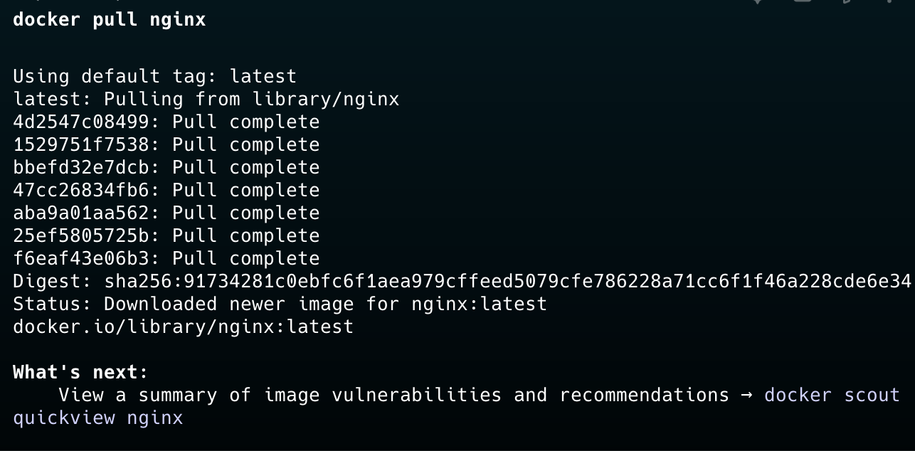 Docker pull nginx
