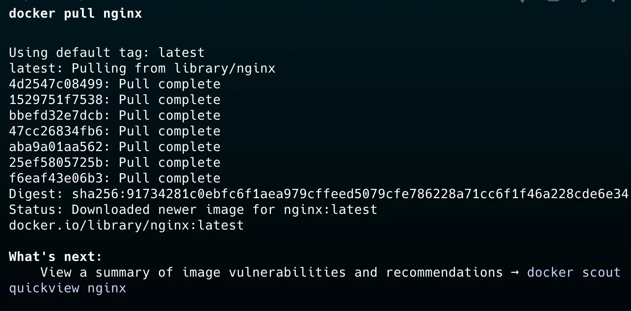 Docker pull nginx